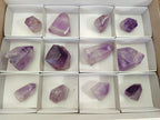 Polished Window Amethyst Crystals x 12 From Akansobe, Madagascar - Toprock Gemstones and Minerals 