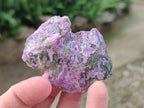 Natural Cobbed Stichtite Specimens x 24 From Barberton, South Africa - Toprock Gemstones and Minerals 