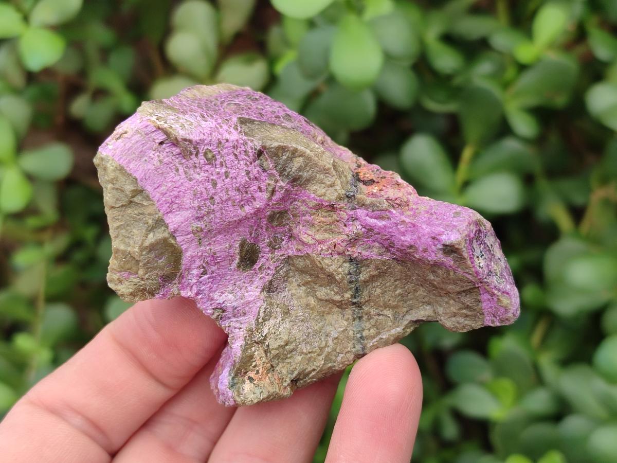 Natural Cobbed Stichtite Specimens x 24 From Barberton, South Africa - Toprock Gemstones and Minerals 