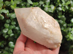 Natural LargeCascading "Anananas" Candle Quartz Crystals x 3 From Antsirabe, Madagascar - Toprock Gemstones and Minerals 