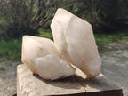 Natural LargeCascading "Anananas" Candle Quartz Crystals x 3 From Antsirabe, Madagascar - Toprock Gemstones and Minerals 