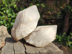 Natural LargeCascading "Anananas" Candle Quartz Crystals x 3 From Antsirabe, Madagascar - Toprock Gemstones and Minerals 