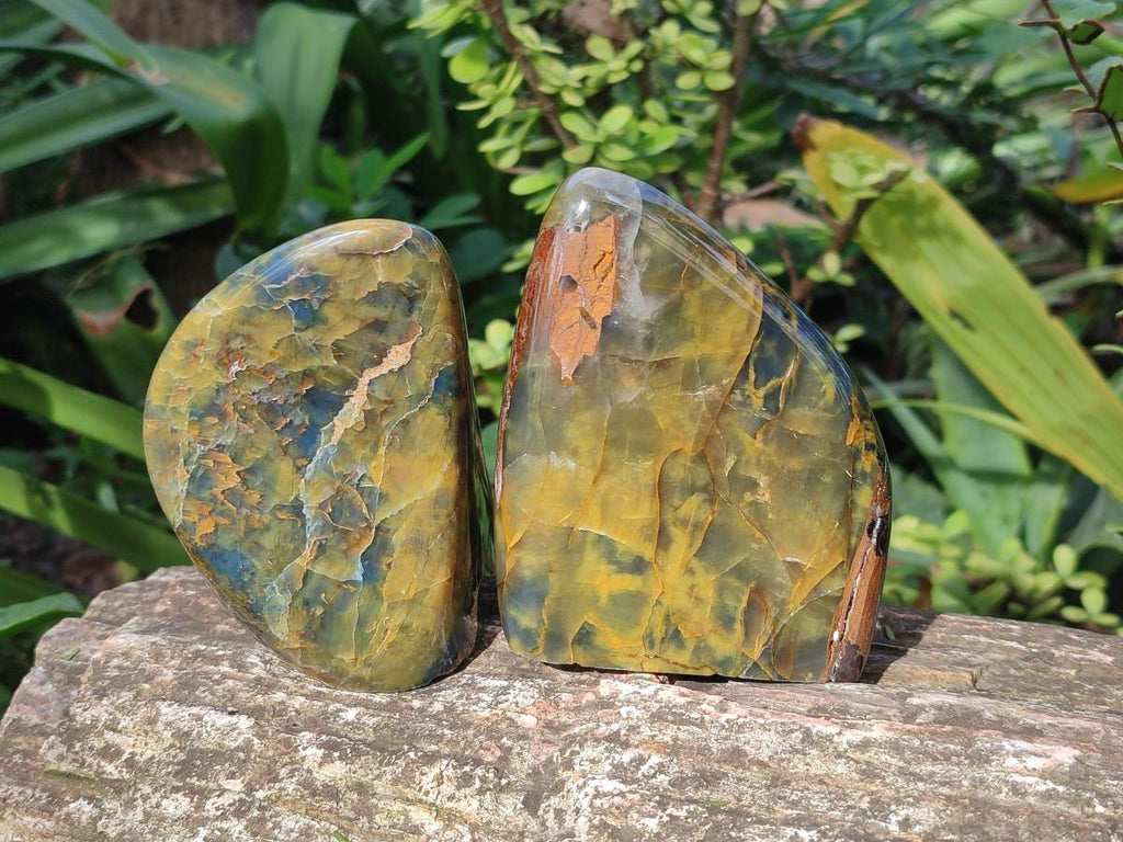 Polished Nellite Tigers Eye Standing Display Pieces x 3 From Prieska, South Africa - Toprock Gemstones and Minerals 