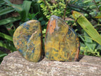 Polished Nellite Tigers Eye Standing Display Pieces x 3 From Prieska, South Africa - Toprock Gemstones and Minerals 