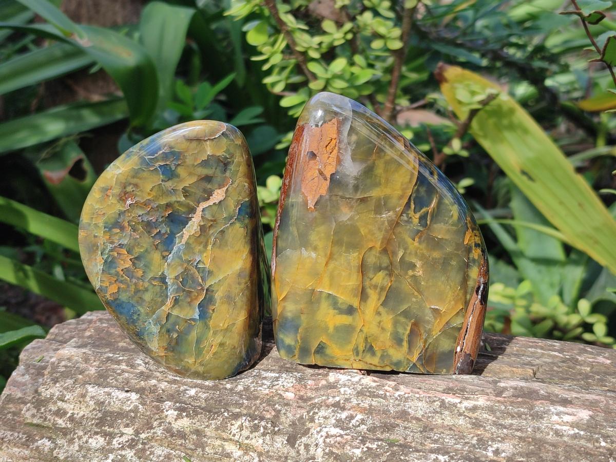 Polished Nellite Tigers Eye Standing Display Pieces x 3 From Prieska, South Africa - Toprock Gemstones and Minerals 