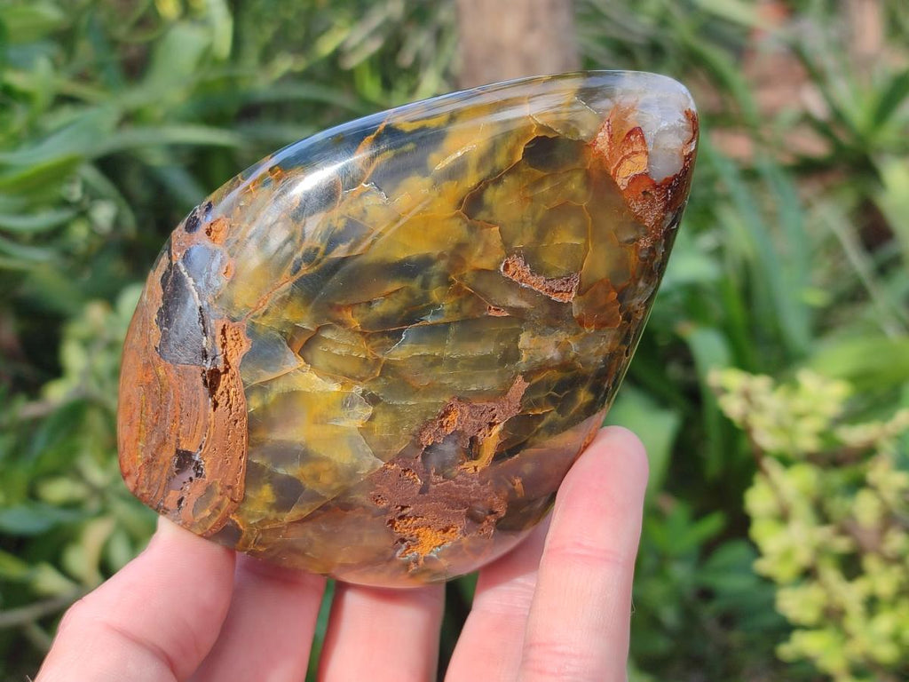 Polished Nellite Tigers Eye Standing Display Pieces x 3 From Prieska, South Africa - Toprock Gemstones and Minerals 