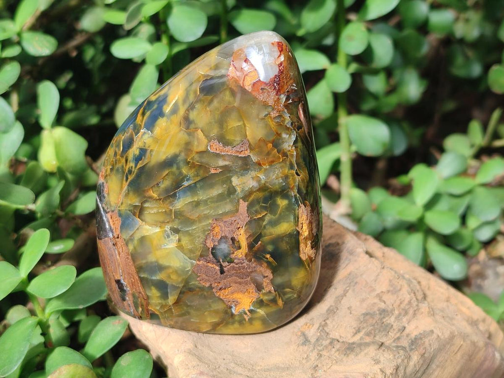 Polished Nellite Tigers Eye Standing Display Pieces x 3 From Prieska, South Africa - Toprock Gemstones and Minerals 