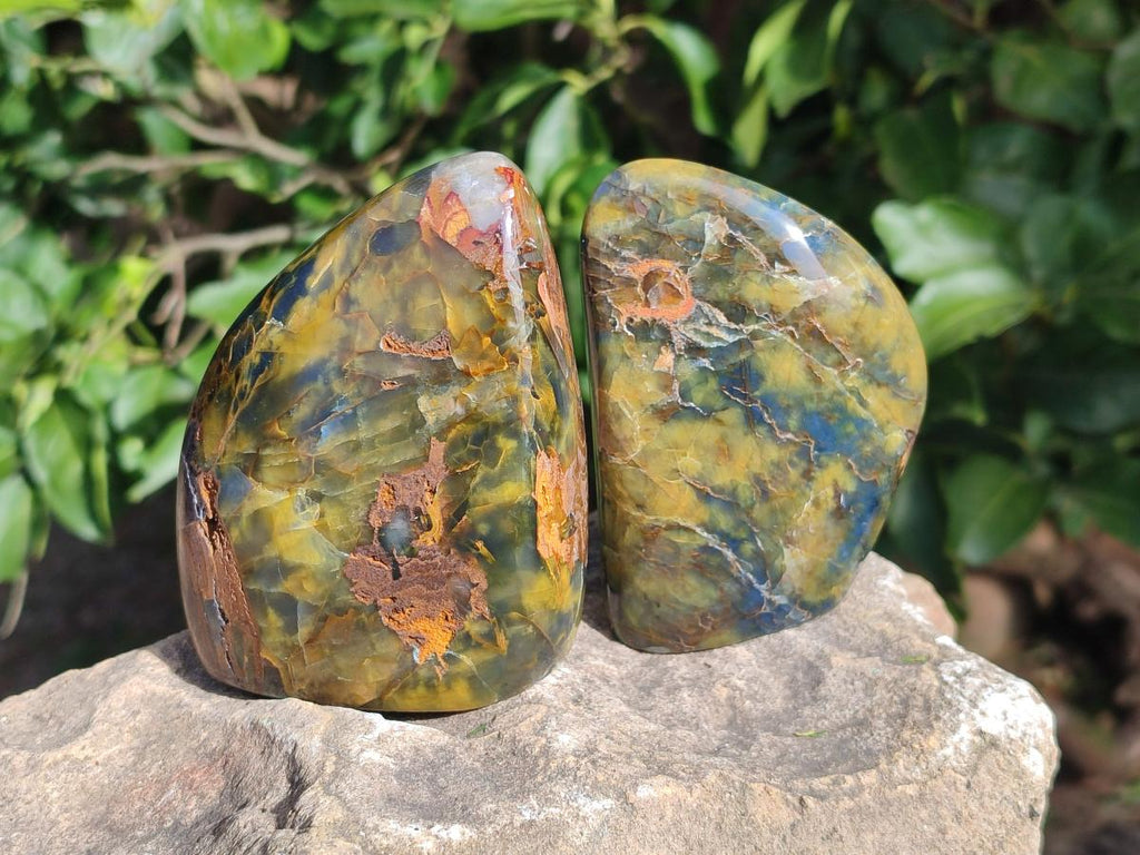 Polished Nellite Tigers Eye Standing Display Pieces x 3 From Prieska, South Africa - Toprock Gemstones and Minerals 