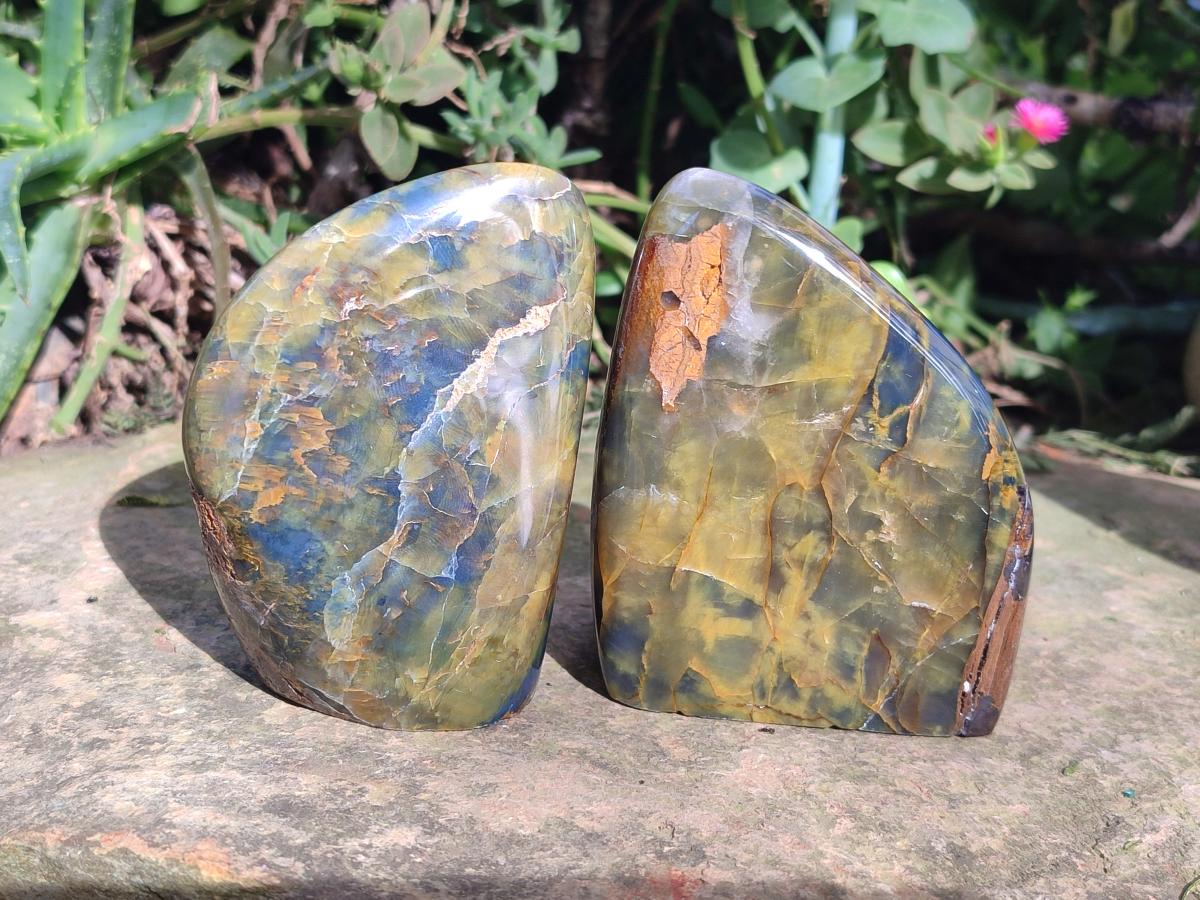 Polished Nellite Tigers Eye Standing Display Pieces x 3 From Prieska, South Africa - Toprock Gemstones and Minerals 