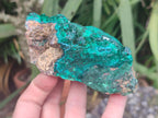 Natural Large Dioptase on Dolomite Specimens x 2 From Likasi, Congo - Toprock Gemstones and Minerals 