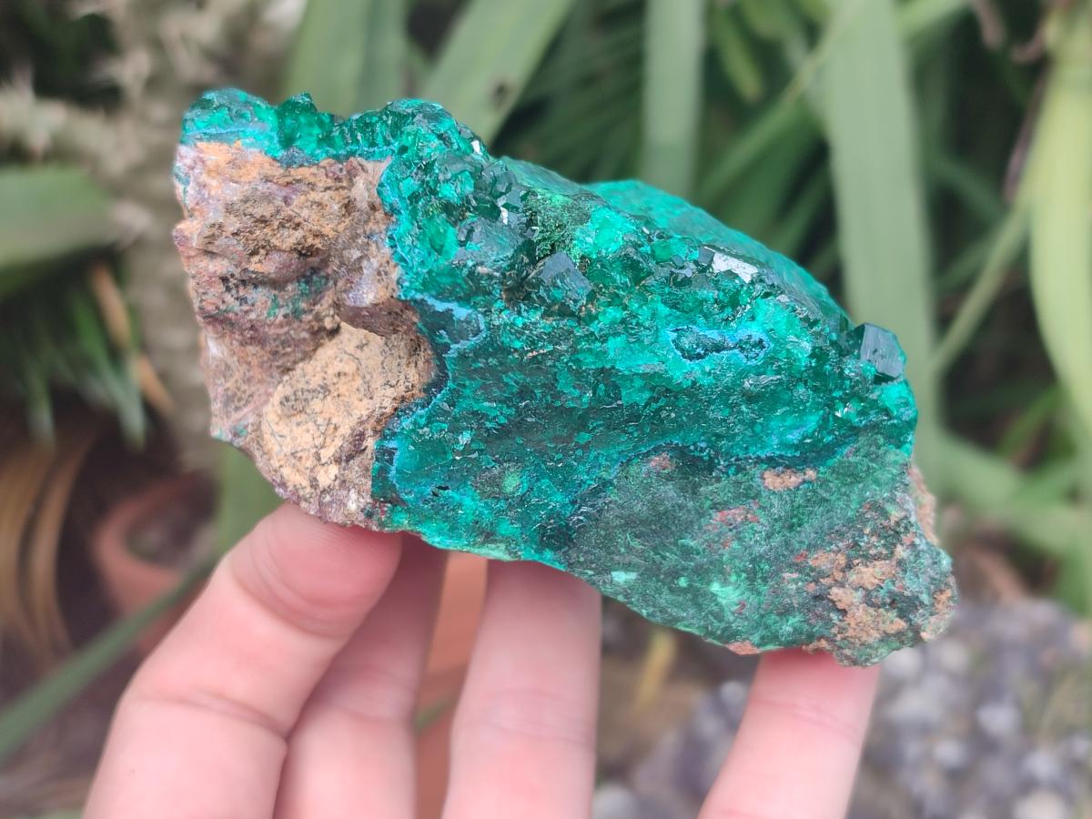 Natural Large Dioptase on Dolomite Specimens x 2 From Likasi, Congo - Toprock Gemstones and Minerals 