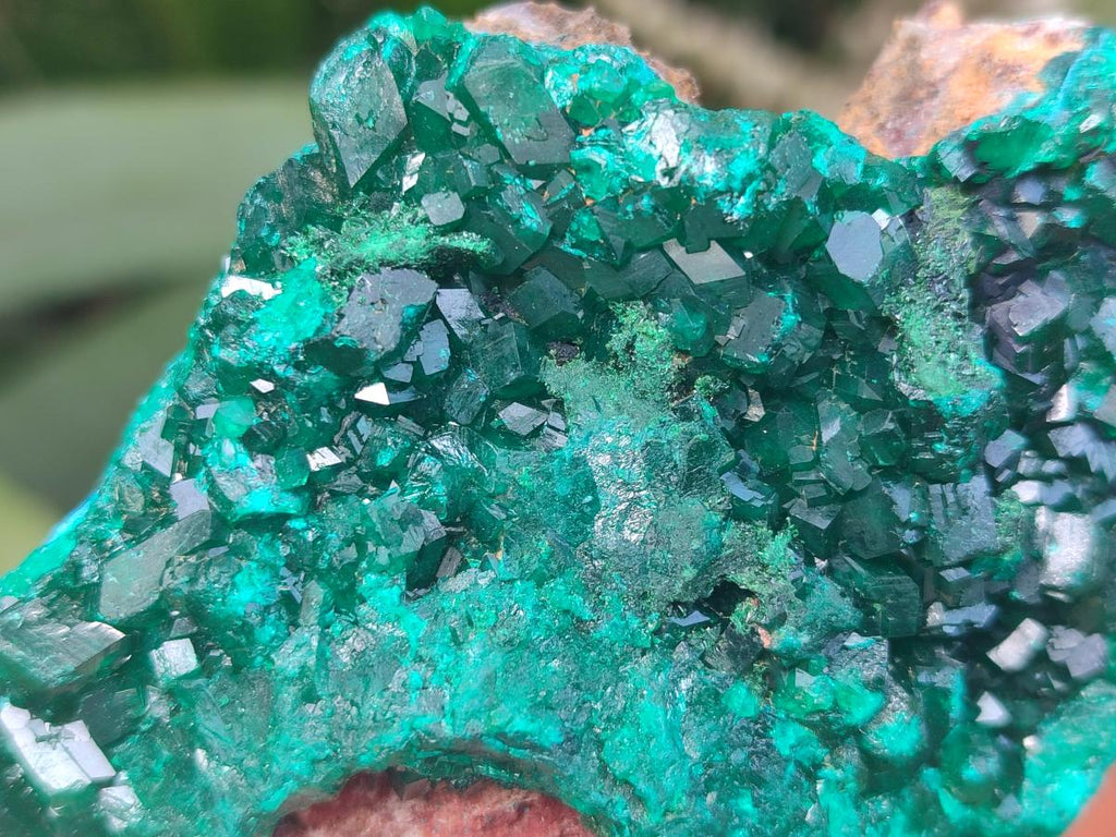 Natural Large Dioptase on Dolomite Specimens x 2 From Likasi, Congo - Toprock Gemstones and Minerals 