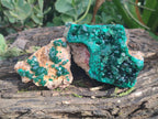 Natural Large Dioptase on Dolomite Specimens x 2 From Likasi, Congo - Toprock Gemstones and Minerals 