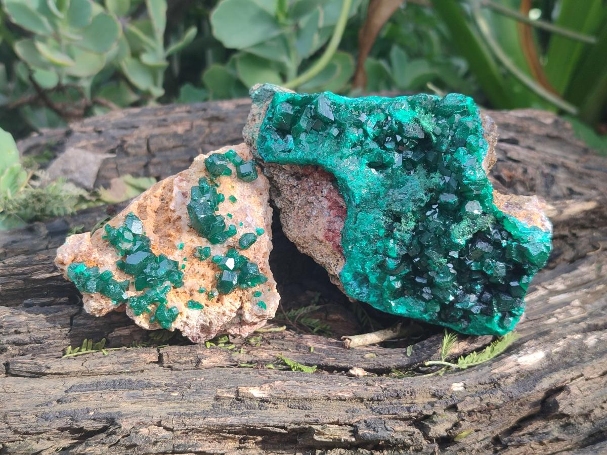 Natural Large Dioptase on Dolomite Specimens x 2 From Likasi, Congo - Toprock Gemstones and Minerals 