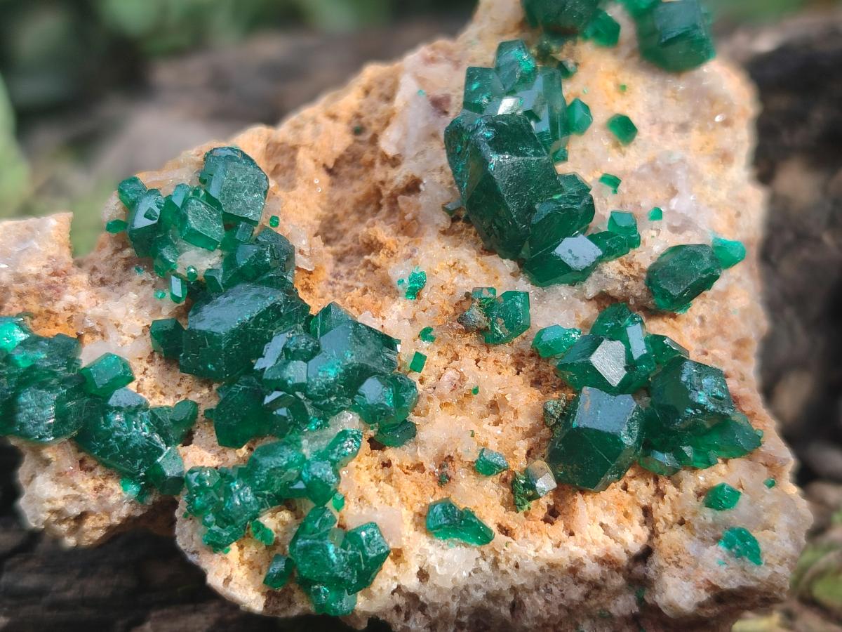 Natural Large Dioptase on Dolomite Specimens x 2 From Likasi, Congo - Toprock Gemstones and Minerals 