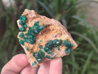 Natural Large Dioptase on Dolomite Specimens x 2 From Likasi, Congo - Toprock Gemstones and Minerals 