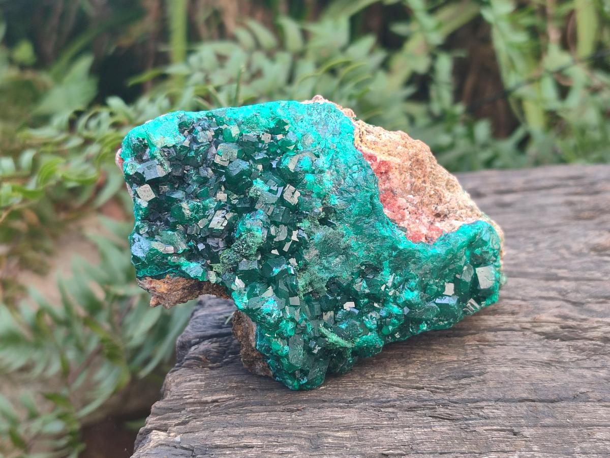 Natural Large Dioptase on Dolomite Specimens x 2 From Likasi, Congo - Toprock Gemstones and Minerals 