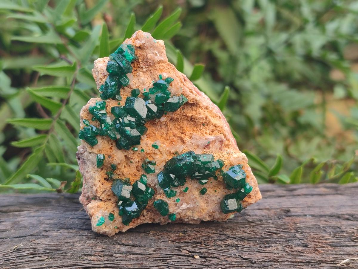 Natural Large Dioptase on Dolomite Specimens x 2 From Likasi, Congo - Toprock Gemstones and Minerals 