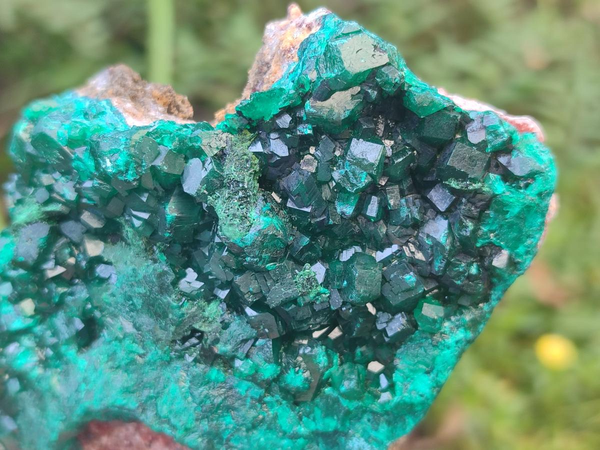 Natural Large Dioptase on Dolomite Specimens x 2 From Likasi, Congo - Toprock Gemstones and Minerals 