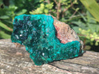 Natural Large Dioptase on Dolomite Specimens x 2 From Likasi, Congo - Toprock Gemstones and Minerals 