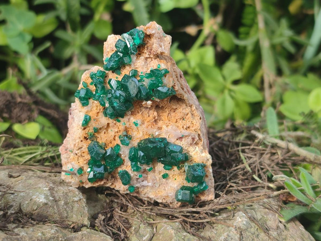 Natural Large Dioptase on Dolomite Specimens x 2 From Likasi, Congo - Toprock Gemstones and Minerals 