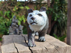 Hand Made Large Panda Soapstone Carving x 1 From Zimbabwe - Toprock Gemstones and Minerals 