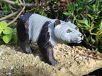 Hand Made Large Panda Soapstone Carving x 1 From Zimbabwe - Toprock Gemstones and Minerals 