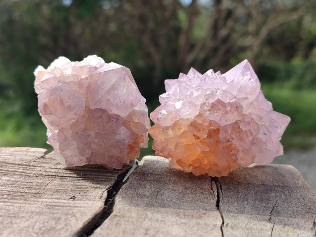 Natural Spirit Amethyst Clusters x 12 From Boekenhouthoek, South Africa - Toprock Gemstones and Minerals 
