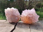 Natural Spirit Amethyst Clusters x 12 From Boekenhouthoek, South Africa - Toprock Gemstones and Minerals 