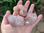Natural Spirit Amethyst Clusters x 12 From Boekenhouthoek, South Africa - Toprock Gemstones and Minerals 