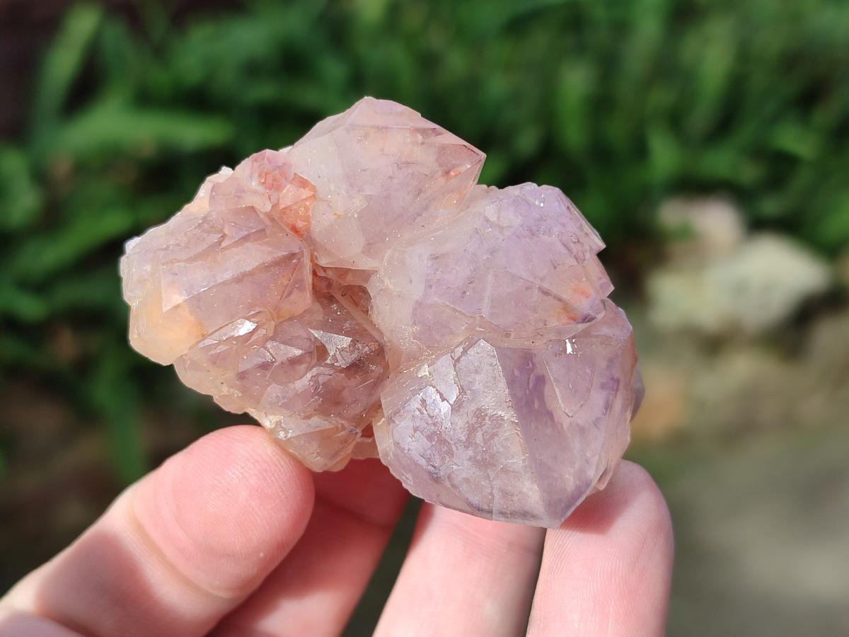 Natural Spirit Amethyst Clusters x 12 From Boekenhouthoek, South Africa - Toprock Gemstones and Minerals 