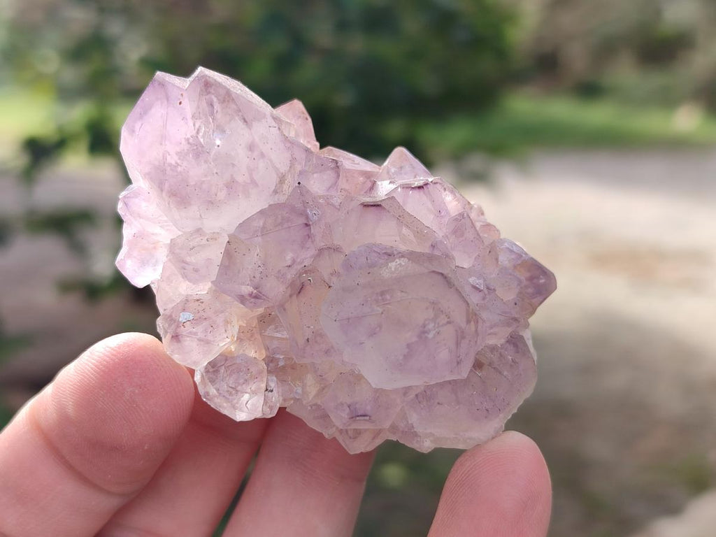 Natural Spirit Amethyst Clusters x 12 From Boekenhouthoek, South Africa - Toprock Gemstones and Minerals 