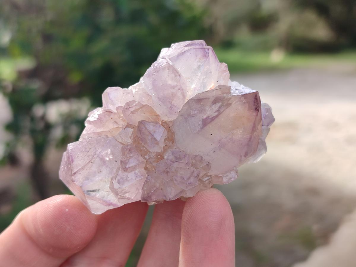 Natural Spirit Amethyst Clusters x 12 From Boekenhouthoek, South Africa - Toprock Gemstones and Minerals 
