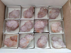 Natural Spirit Amethyst Clusters x 12 From Boekenhouthoek, South Africa - Toprock Gemstones and Minerals 