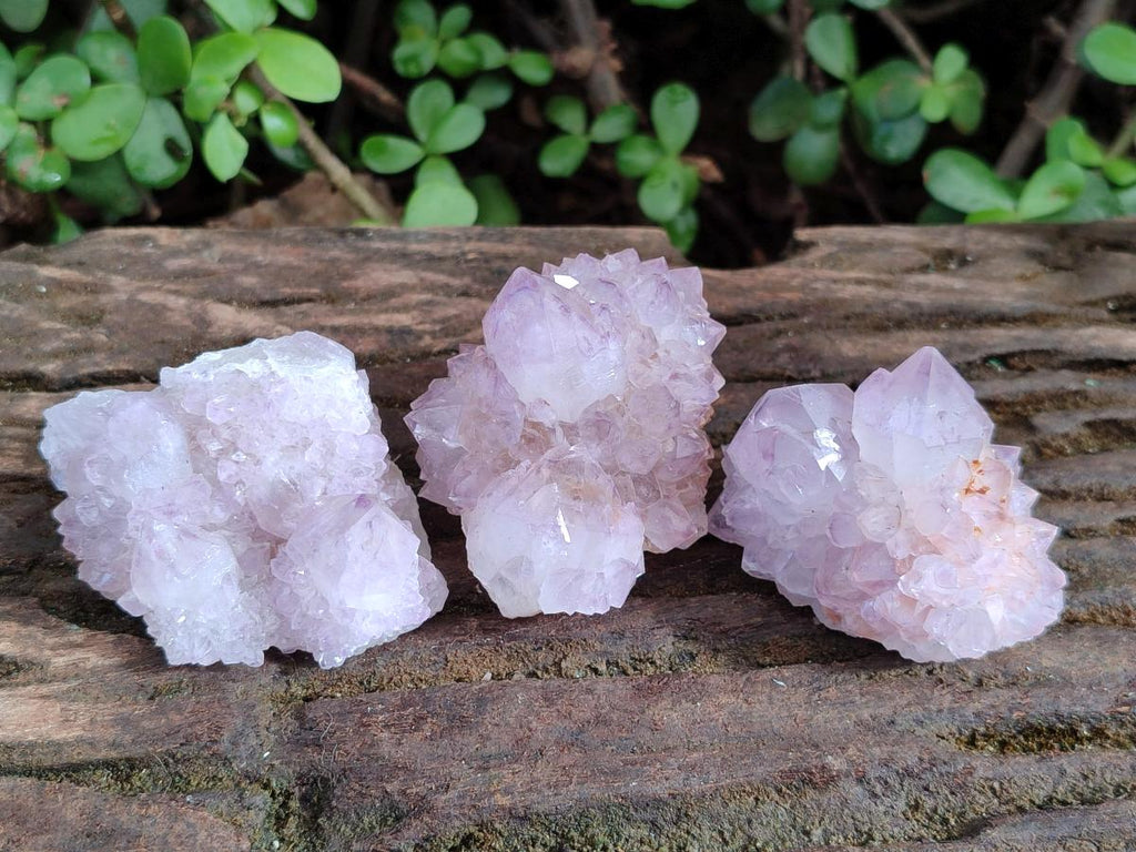 Natural Spirit Amethyst Clusters x 12 From Boekenhouthoek, South Africa - Toprock Gemstones and Minerals 