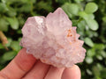 Natural Spirit Amethyst Clusters x 12 From Boekenhouthoek, South Africa - Toprock Gemstones and Minerals 