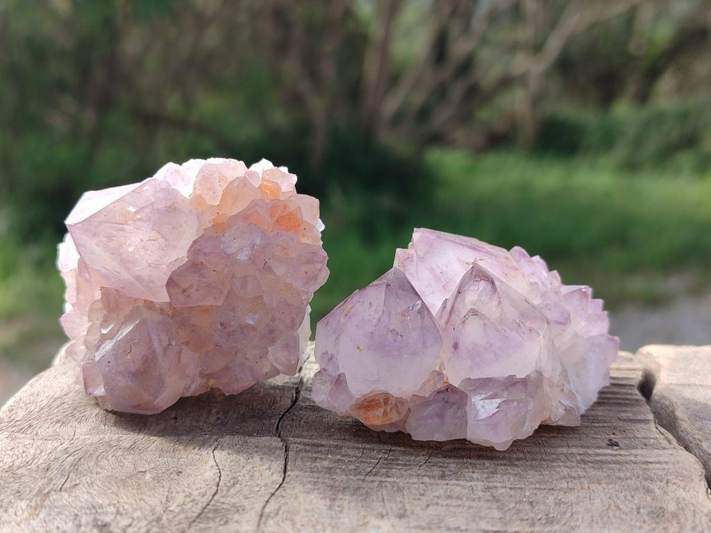 Natural Spirit Amethyst Clusters x 12 From Boekenhouthoek, South Africa - Toprock Gemstones and Minerals 