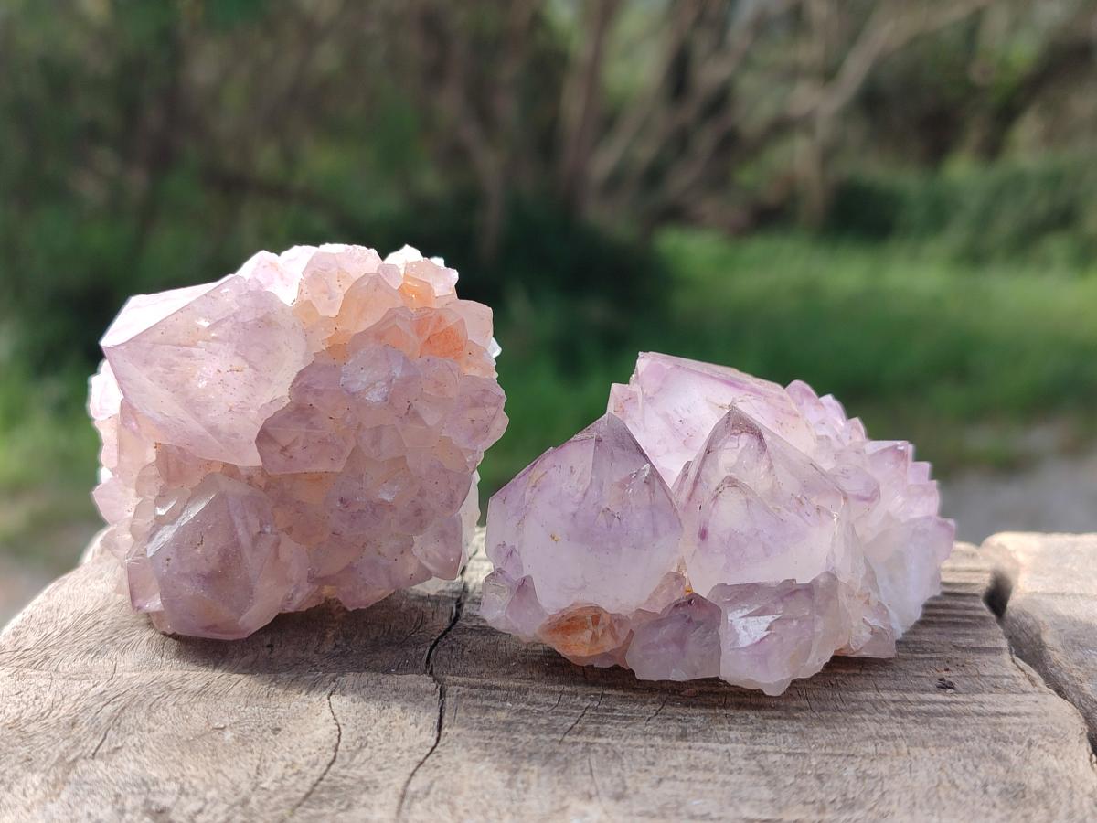 Natural Spirit Amethyst Clusters x 12 From Boekenhouthoek, South Africa - Toprock Gemstones and Minerals 