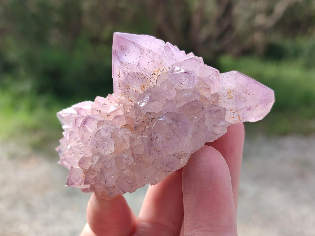Natural Spirit Amethyst Clusters x 12 From Boekenhouthoek, South Africa - Toprock Gemstones and Minerals 