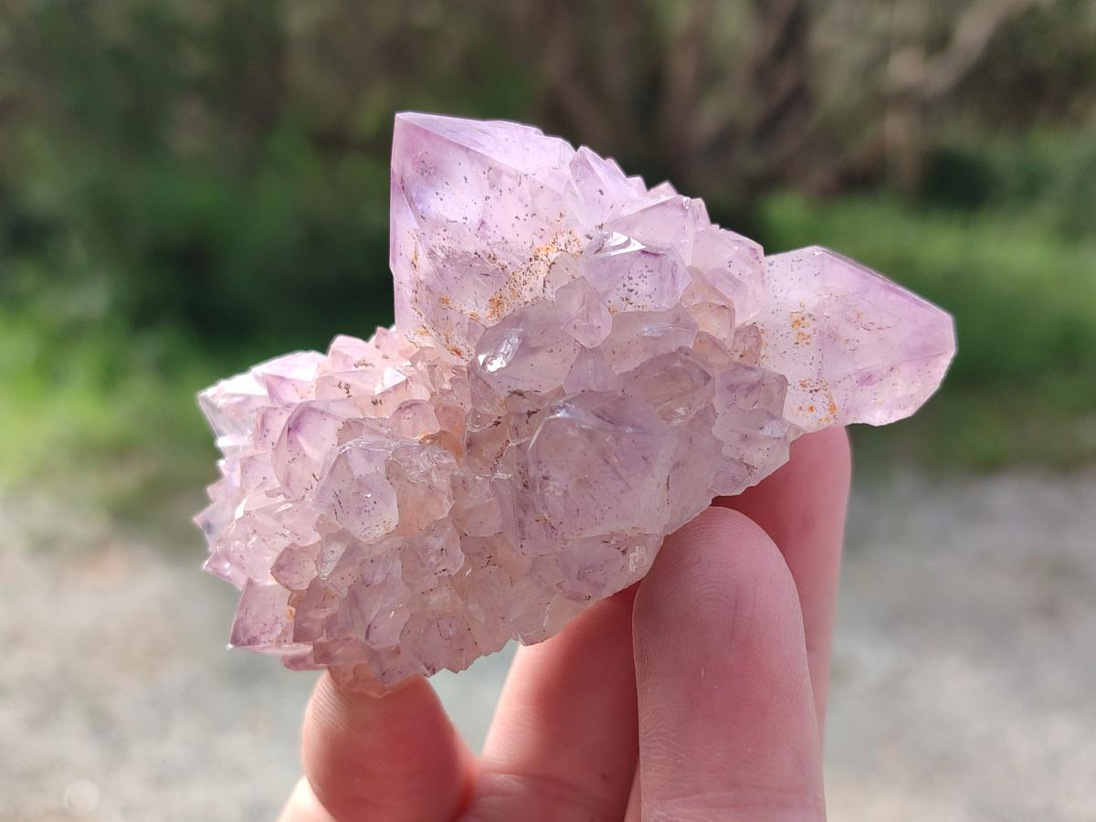 Natural Spirit Amethyst Clusters x 12 From Boekenhouthoek, South Africa - Toprock Gemstones and Minerals 