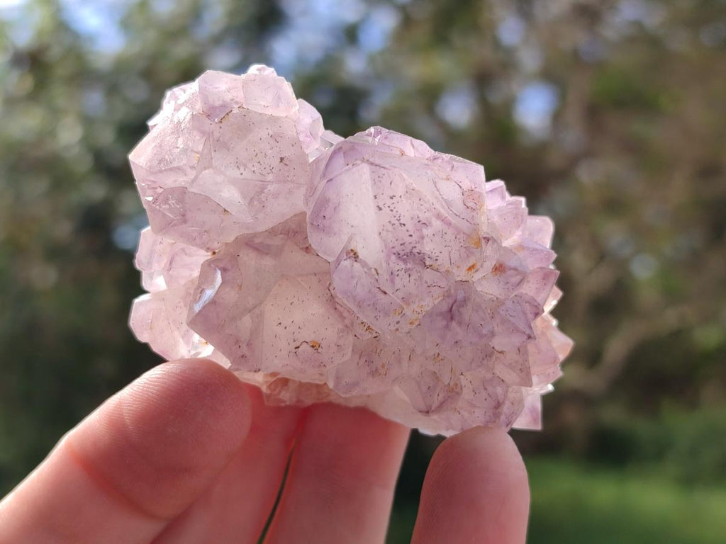 Natural Spirit Amethyst Clusters x 12 From Boekenhouthoek, South Africa - Toprock Gemstones and Minerals 