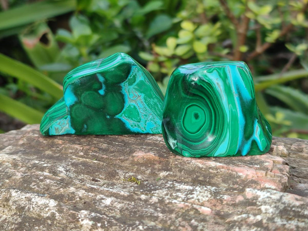 Polished Malacolla Free Forms x 12 From Kulukuluku, Congo - Toprock Gemstones and Minerals 