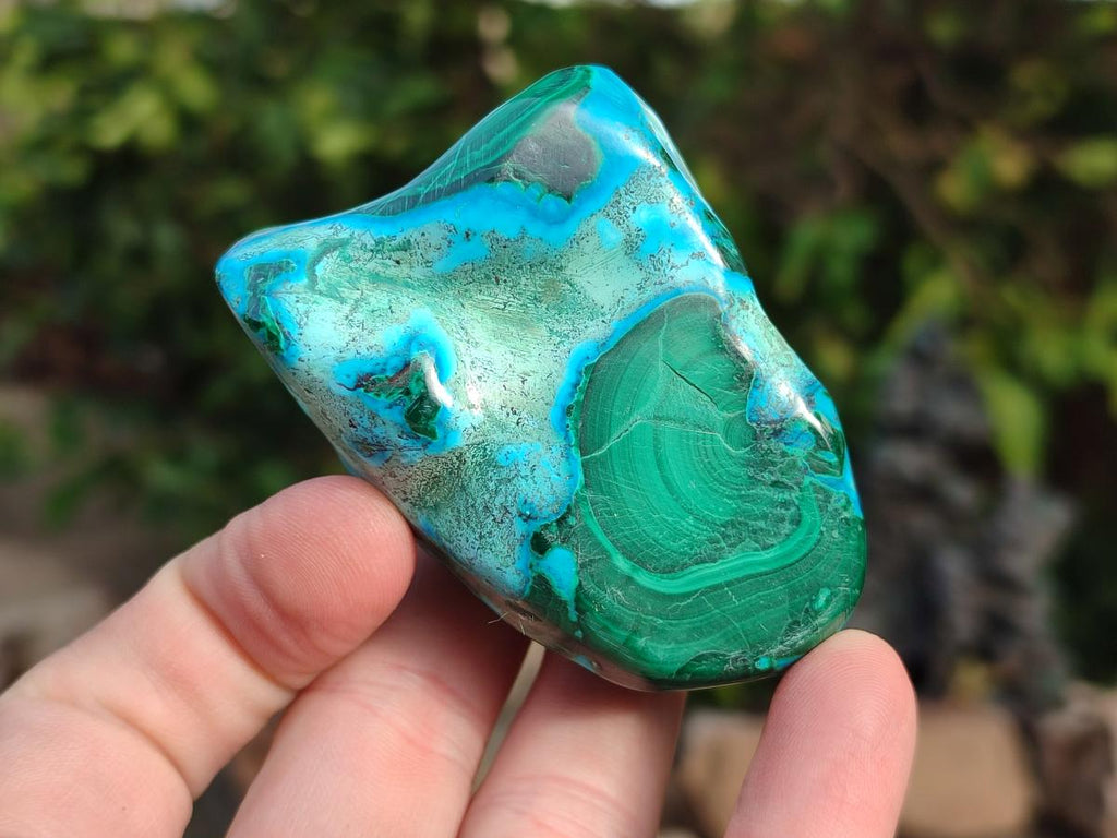 Polished Malacolla Free Forms x 12 From Kulukuluku, Congo - Toprock Gemstones and Minerals 
