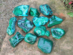 Polished Malacolla Free Forms x 12 From Kulukuluku, Congo - Toprock Gemstones and Minerals 
