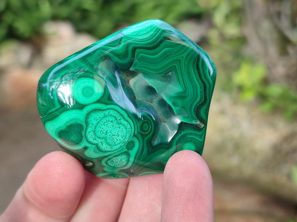 Polished Malacolla Free Forms x 12 From Kulukuluku, Congo - Toprock Gemstones and Minerals 
