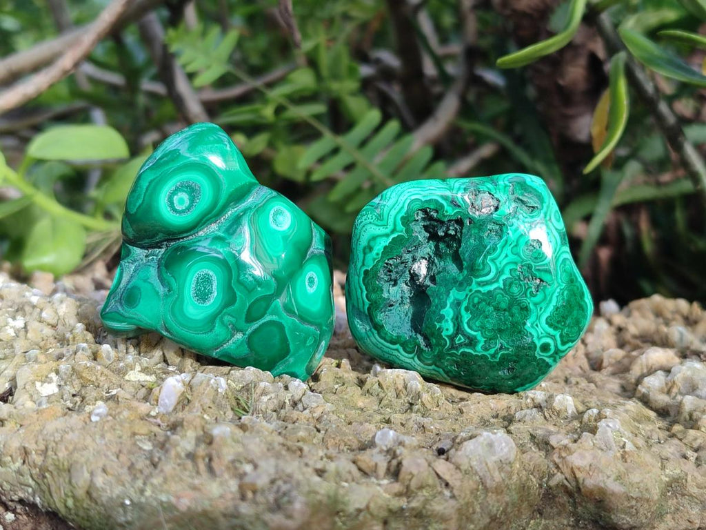 Polished Malacolla Free Forms x 12 From Kulukuluku, Congo - Toprock Gemstones and Minerals 