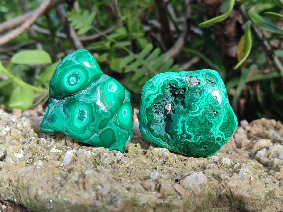 Polished Malacolla Free Forms x 12 From Kulukuluku, Congo - Toprock Gemstones and Minerals 