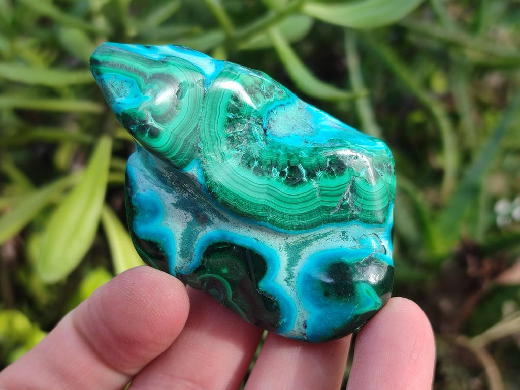 Polished Malacolla Free Forms x 12 From Kulukuluku, Congo - Toprock Gemstones and Minerals 