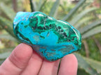 Polished Malacolla Free Forms x 12 From Kulukuluku, Congo - Toprock Gemstones and Minerals 