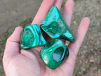 Polished Malacolla Free Forms x 12 From Kulukuluku, Congo - Toprock Gemstones and Minerals 